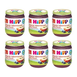 پکیج اقتصادی پوره ارگانیک سیب و بلوبری هیپ HIPP