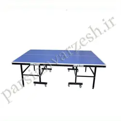 میز پینگ پنگ T113
