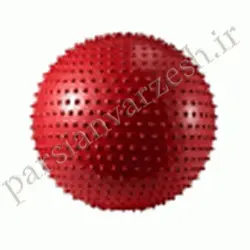 توپ فیزیوبال 70 خاردار | قیمت توپ فیزیوبال 70 خاردار | فروش توپ فیزیوبال 70 خاردار