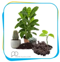 خاک آماده پرورش گیاه _ کوکوپیت و پیت ماس