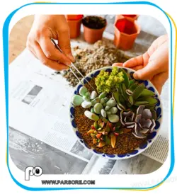 اصلاح کننده خاک و کود معدنی هربان - Herbban