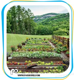 اصلاح کننده خاک و کود معدنی هربان - Herbban