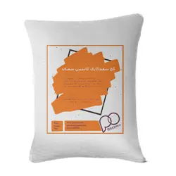 گچ سفیدکاری کاسپین سمنان