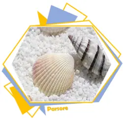 صدف معدنی (oyster powder)