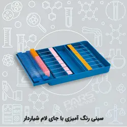 سینی رنگ آمیزی با جای لام شیار دار