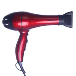 سشوار حرفه ای پرینسلی مدل Princely PR228AT - فروشگاه اینترنتی پاساژ شهر