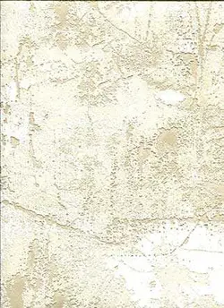 کاغذ دیواری Canto z4006