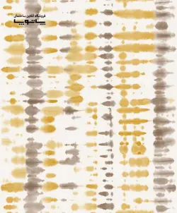 کاغذ دیواری بلژیکی village people کد های ۳۱