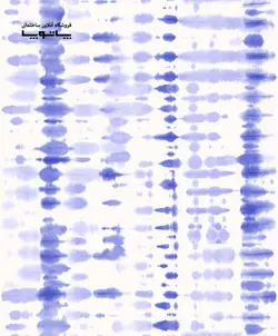 کاغذ دیواری بلژیکی village people کد های ۳۱