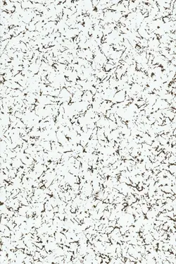 قیمت و خرید کامپوزیت داخلی PREMIUM BOND کد۴۳ در فروشگاه ساختمانی پاتوپا