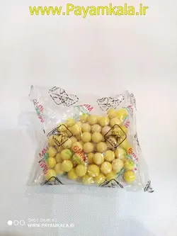 ساچمه تفنگ اسباب بازی فله ای