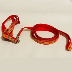 قلاده تنی به همراه لیش طرح رنگی