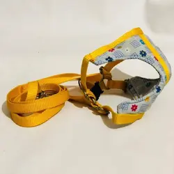 قلاده تنی با لیش مناسب برای سگ های کوچک