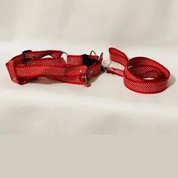 قلاده تنی به همراه لیش