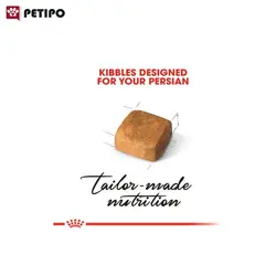 غذای خشک گربه پرشین کیتن رویال کنین (Royal Canin Cat Kitten Persian) وزن 400 گرم