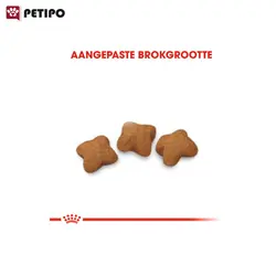 غذای خشک بچه گربه عقیم شده استریلایزد رویال کنین (Royal Canin Cat kitten Sterilised) وزن 2 کیلوگرم