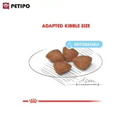 غذای خشک سگ مینی استارتر رویال کنین (Royal Canin Mini Starter Mother & Baby) وزن 4 کیلوگرم