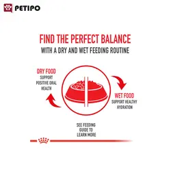 غذای خشک گربه پرشین ادالت رویال کنین (Royal Canin Cat Persian Adult) وزن 4 کیلوگرم