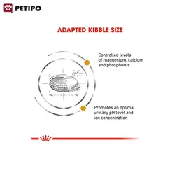 غذای خشک گربه یورینری رویال کنین (Royal Canin Cat Urinary S/O) وزن 3.5 کیلوگرم