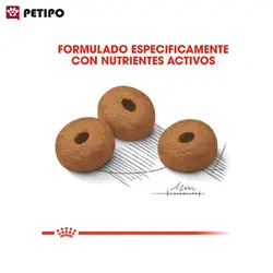 غذای خشک سگ مکسی لایت ویت کر رویال کنین (Royal Canin Maxi Light Weight Care) وزن 10 کیلوگرم