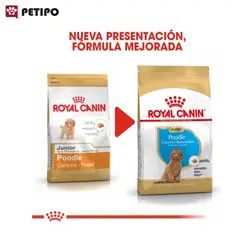 غذای خشک توله سگ پودل رویال کنین (Royal Canin Poodle Puppy) وزن 3 کیلوگرم