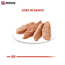 غذای پوچ سگ عقیم شده استریلایزد رویال کنین (Royal Canin Dog Sterilised Pouch) وزن 85گرم