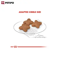 غذای خشک سگ مینی ادالت بالای 8 سال رویال کنین (Royal Canin Mini Adult +8) وزن 2 کیلوگرم