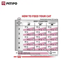 غذای خشک گربه رنال رویال کنین (Royal Canin Cat Renal Feline) وزن 2 کیلوگرم