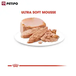 غذای کنسرو استارتر مادر و توله سگ رویال کنین (Royal Canin Starter Mousse) وزن 195 گرم