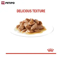 غذای پوچ گربه لایت ویت رویال کنین (Royal Canin Light Weight Wet) وزن 85 گرم
