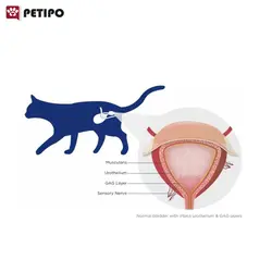 شربت مکمل درمانی گربه ویژه مشکلات مجاری ادرار و مثانه فوریناید پلاس تی آر ام (TRM Furinaid Plus) وزن 200 میلی لیتر