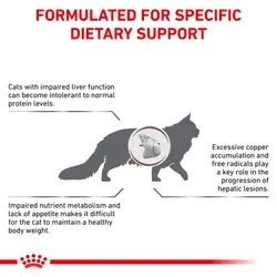 غذای خشک گربه هپاتیک رویال کنین (Royal Canin Cat Hepatic) وزن 4 کیلوگرم