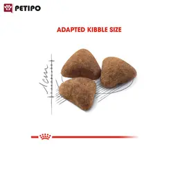 غذای خشک گربه ایندور لایف رویال کنین (Royal Canin Home Life Indoor 27) وزن 4 کیلوگرم