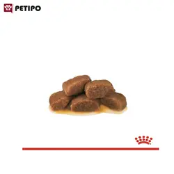 غذای پوچ گربه رنال با طعم ماهی رویال کنین (Royal Canin Cat Renal with Fish Pouch) وزن 85 گرم