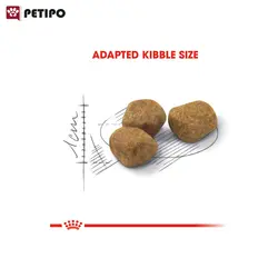 غذای خشک گربه بالغ ریگولار فیت رویال کنین (Royal Cat Canin Regular Fit 32) وزن 400 گرم