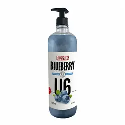 شامپو سگ رد اسپرینگ مدل blueberry حجم 850 میلی لیتر - فروشگاه PETKALA24 - ارائه دهنده خدمات و غذای حیوانات خانگی