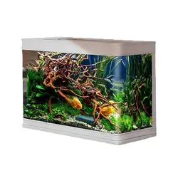 آکواریوم قاب دار دلسا 80 سانتی - وب سایت آکواریوم آنلاین پت لند 360