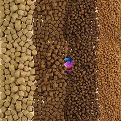 غذای ماهی بیومار - وب سایت آکواریوم آنلاین پت لند 360