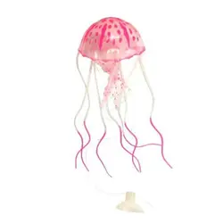 عروس دریایی مدل Fluorescent سایز متوسط - وب سایت آکواریوم آنلاین پت لند 360