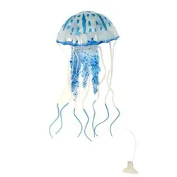 عروس دریایی مدل Fluorescent سایز متوسط - وب سایت آکواریوم آنلاین پت لند 360