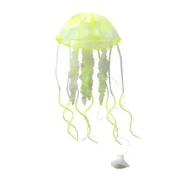 عروس دریایی مدل Fluorescent سایز متوسط - وب سایت آکواریوم آنلاین پت لند 360