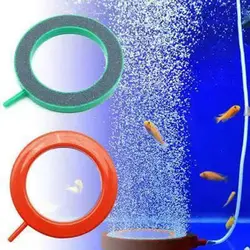 سنگ هوا رینگی آکواریوم - وب سایت آکواریوم آنلاین پت لند 360