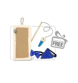 درخت گربه و اسکرچر نینا پت مدل c1