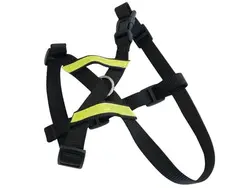 قلاده بدنی ساکورا 2 کاره خودرو ام پتس | Secura Harness