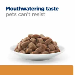 پوچ گربه هیلز مدل رنال با طعم مرغ وزن 85 گرم