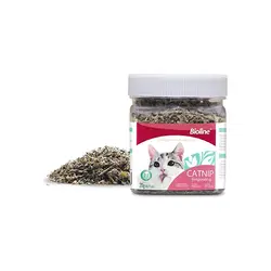 کت نیپ گربه بایولاین