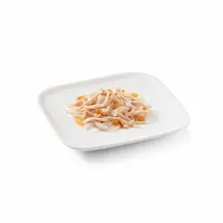 کنسرو سگ شسیر با طعم فیله مرغ و پاپایا وزن 150 گرم