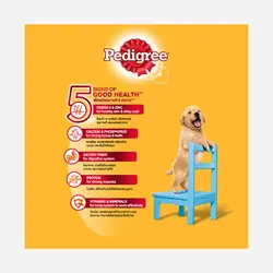 غذای خشک توله سگ Pedigree وزن 1.3 کیلوگرم