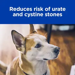 غذای خشک سگ هیلز مدل Urinary Care u/d وزن 5 کیلوگرم
