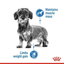پوچ رژیمی سگ رویال کنین مدل لایت ویت | Light Weight care